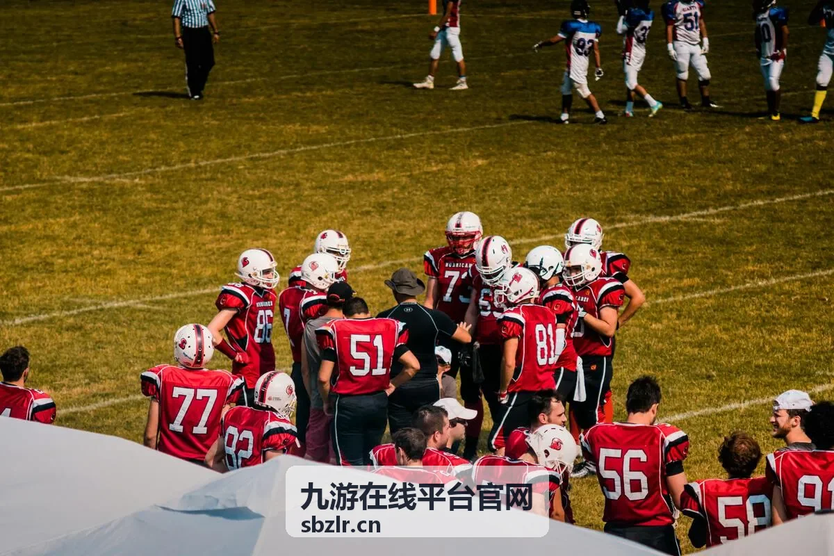 九游在线平台官网规则说明与账号资料核对示意