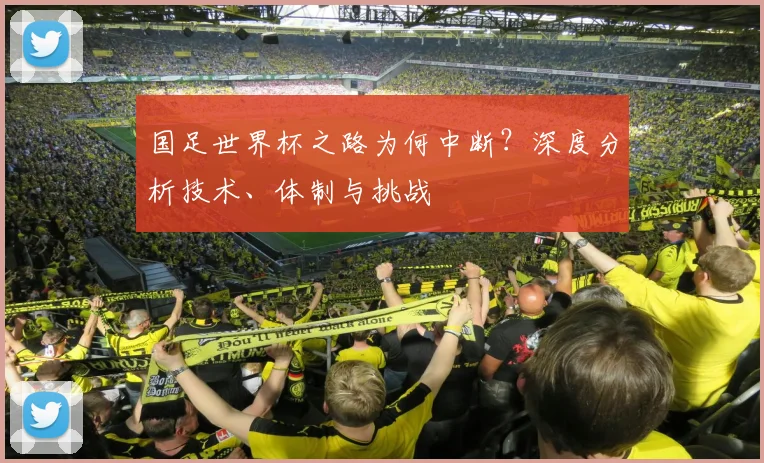 国足世界杯之路为何中断？深度分析技术、体制与挑战