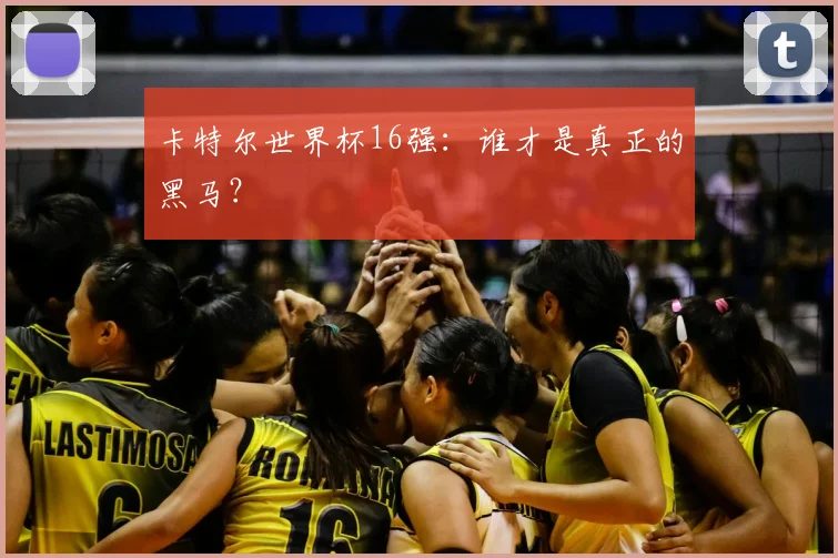 卡特尔世界杯16强：谁才是真正的黑马？