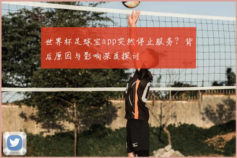 世界杯足球宝app突然停止服务?背后原因与影响深度探讨