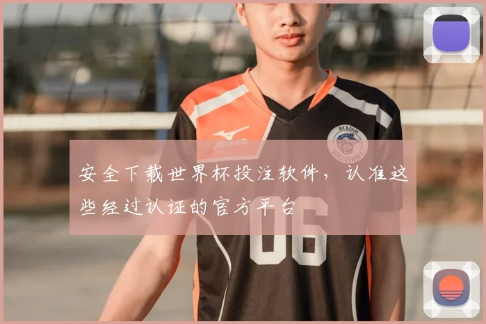 安全下载世界杯投注软件,认准这些经过认证的官方平台