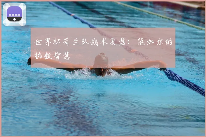 世界杯荷兰队战术复盘：范加尔的执教智慧