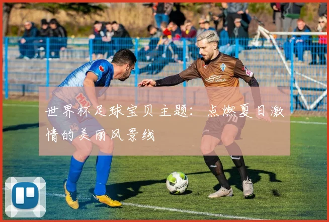世界杯足球宝贝主题:点燃夏日激情的美丽风景线