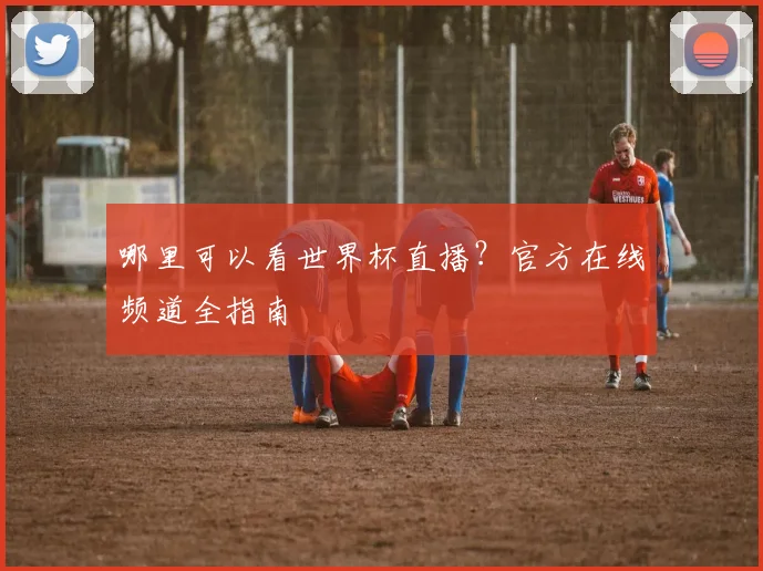 哪里可以看世界杯直播？官方在线频道全指南