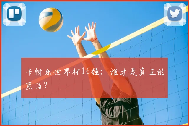 卡特尔世界杯16强:谁才是真正的黑马?