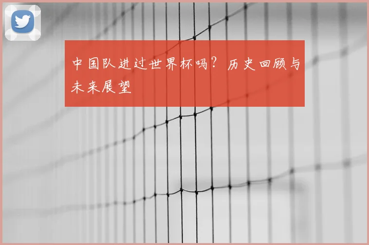 中国队进过世界杯吗?历史回顾与未来展望