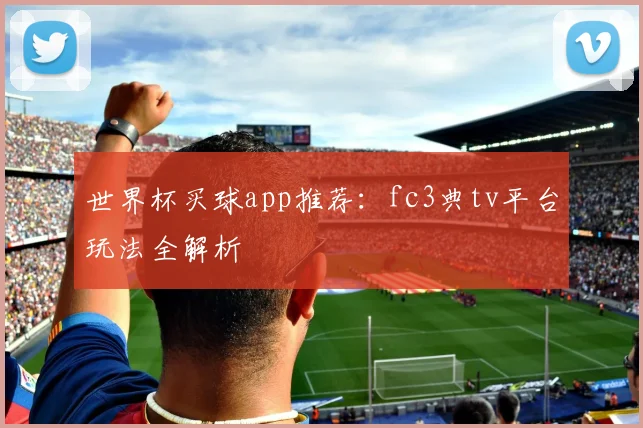 世界杯买球app推荐:fc3典tv平台玩法全解析