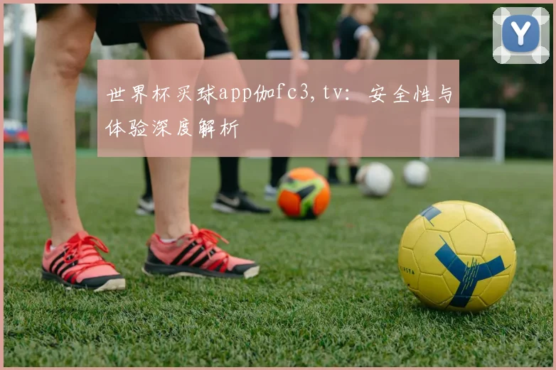 世界杯买球app伽fc3,tv:安全性与体验深度解析