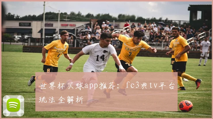 世界杯买球app推荐：fc3典tv平台玩法全解析